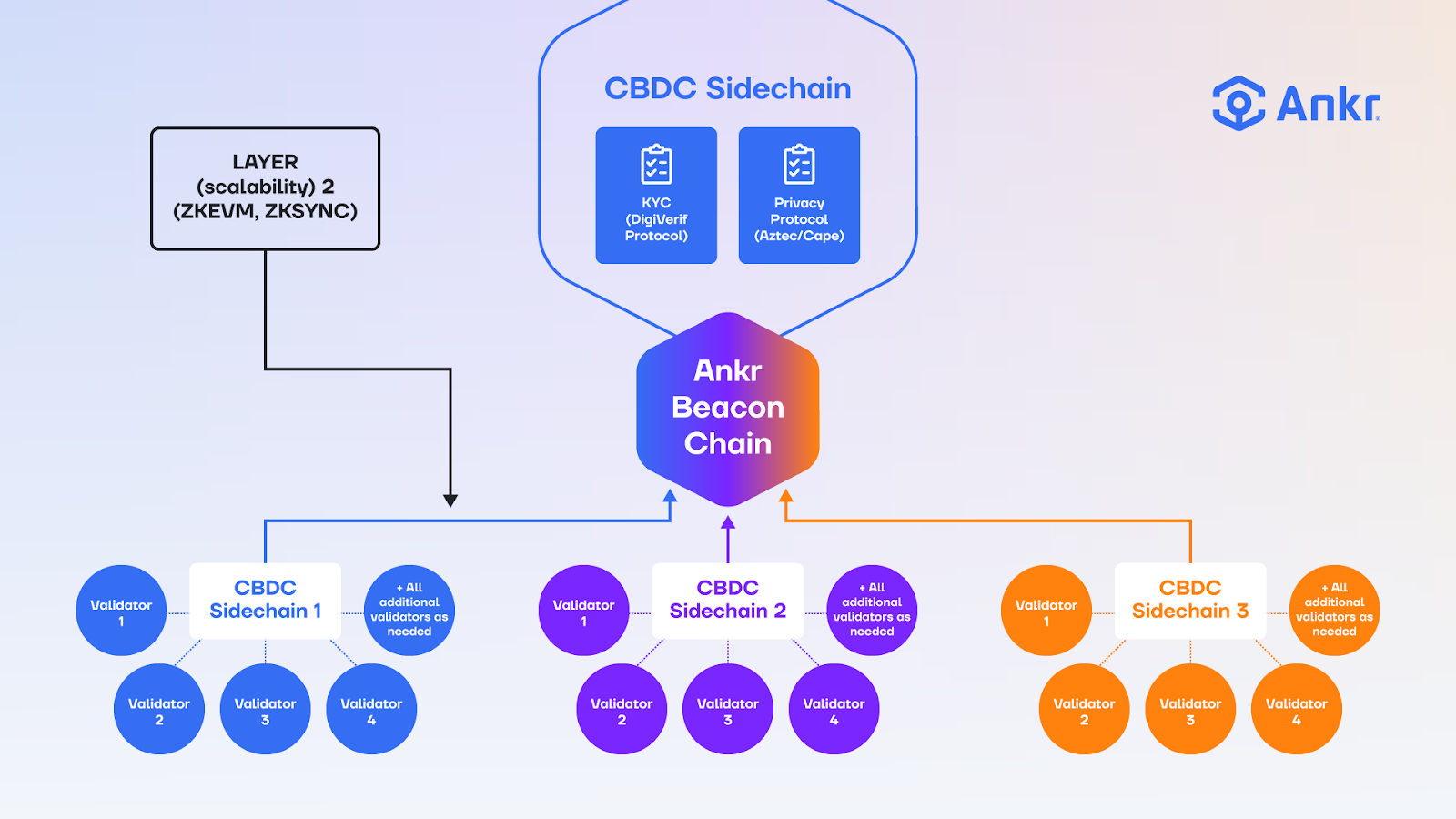 CBDC_side_chain_f05f7029cd.png